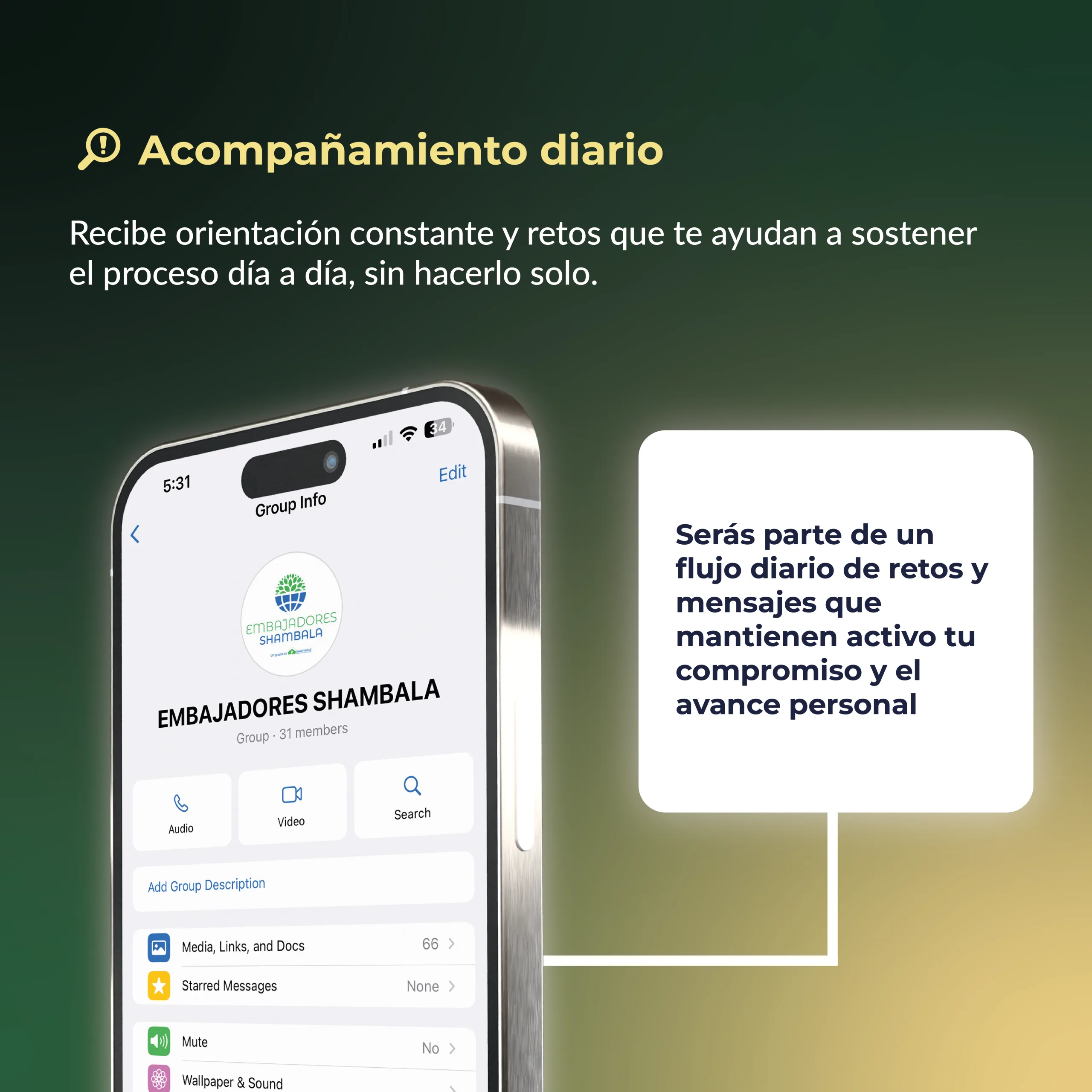 Envío diario de retos