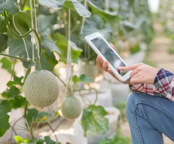 granjero-tableta-trabajar-huerto-hidroponico-organico-invernadero-agricultura-inteligente-granja-concepto-tecnologia-sensores-mano-granjero-usando-tableta-controlar-temperatura